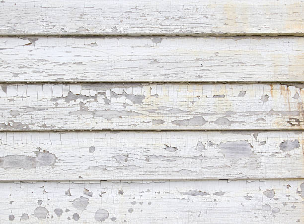 Best Siding Removal and Disposal  in Carlin, NV